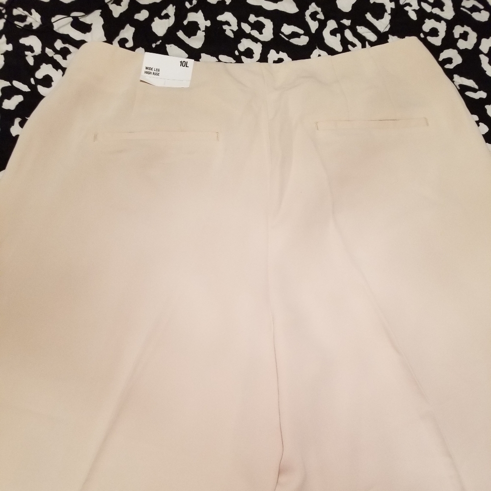 NWT Express dress pants